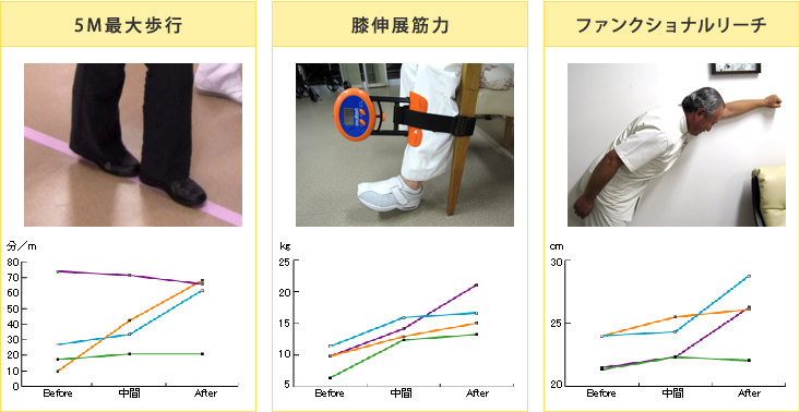 実績グラフ